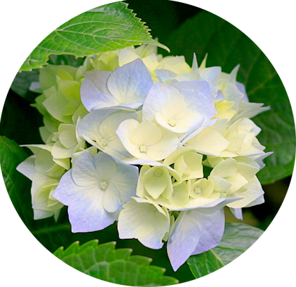 Leben ist nicht genug